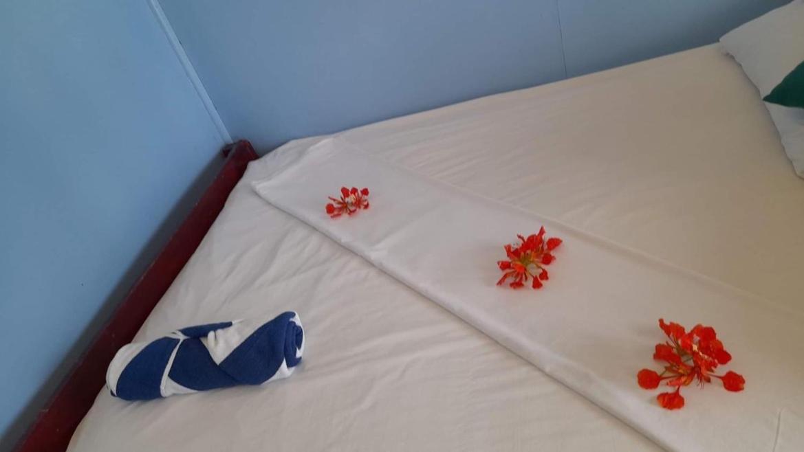 Mana Lagoon Backpackers 빌라 외부 사진